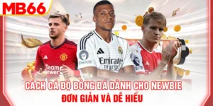 cach-ca-do-bong-da-danh-cho-newbie-don-gian-va-de-hieu
