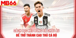 cach-doc-keo-bong-da-chau-au-de-tro-thanh-cao-thu-ca-do