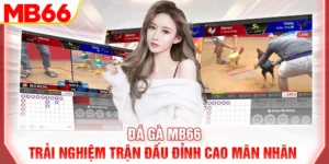 da-ga-mb66-trai-nghiem-tran-dau-dinh-cao-man-nhan-