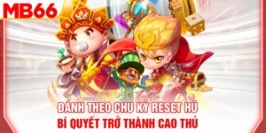 danh-theo-chu-ky-reset-hu-bi-quyet-tro-thanh-cao-thu