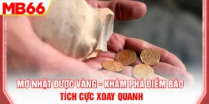 mo-nhat-duoc-vang-kham-pha-diem-bao-tich-cuc-xoay-quanh