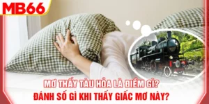 mo-thay-tau-hoa-la-diem-gi-danh-so-gi-khi-thay-giac-mo-nay-