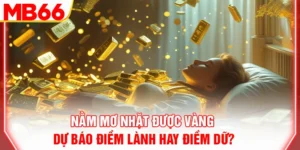 nam-mo-nhat-duoc-vang-du-bao-diem-lanh-hay-diem-du-