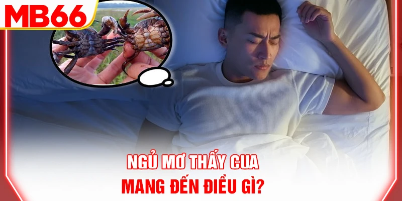 ngu-mo-thay-cua-mang-den-dieu-gi-