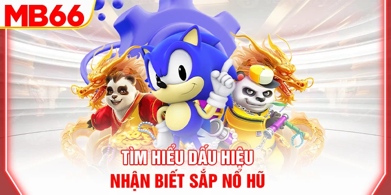 tim-hieu-dau-hieu-nhan-biet-sap-no-hu