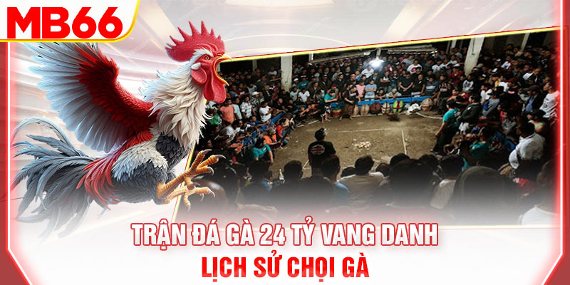 tran-da-ga-24-ty-vang-danh-lich-su-choi-ga