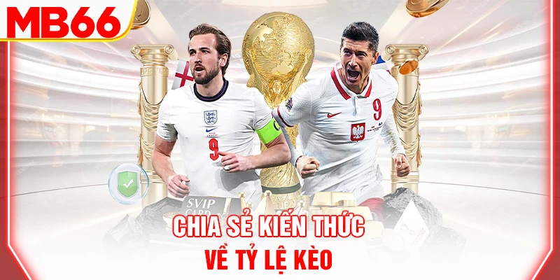 chia-se-kien-thuc-ve-ty-le-keo