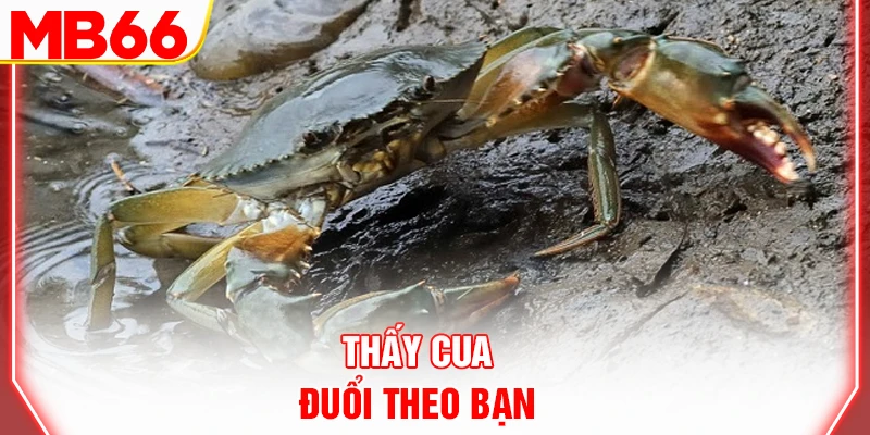 thay-cua-duoi-theo-ban