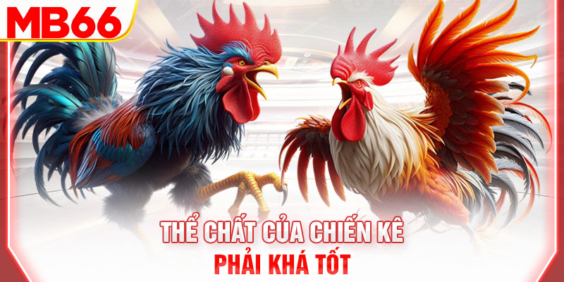 the-chat-cua-chien-ke-phai-kha-tot