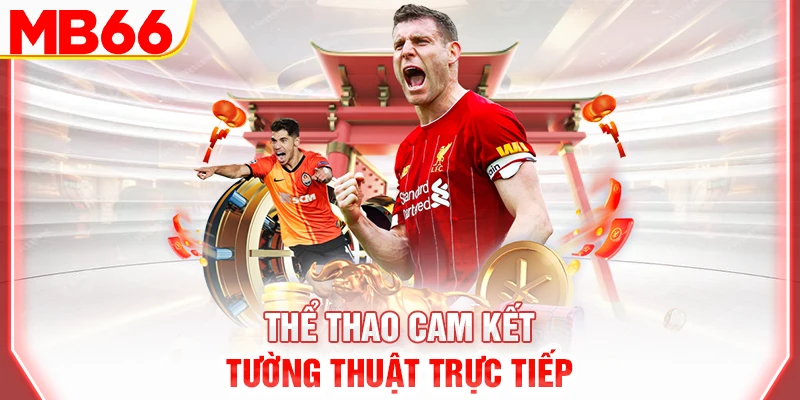 the-thao-cam-ket-tuong-thuat-truc-tiep