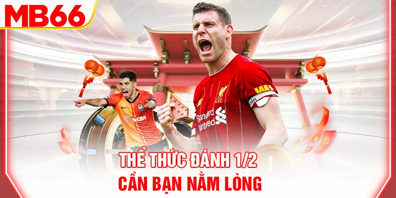 the-thuc-danh-1-2-can-ban-nam-long