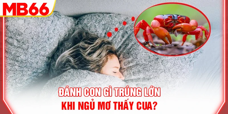 danh-con-gi-trung-lon-khi-ngu-mo-thay-cua-