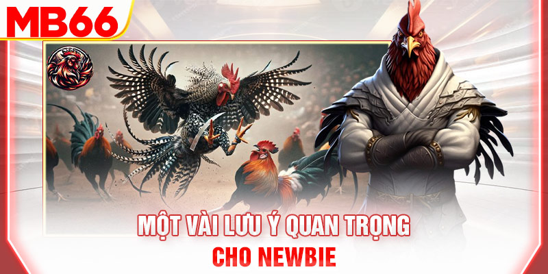 mot-vai-luu-y-quan-trong-cho-newbie