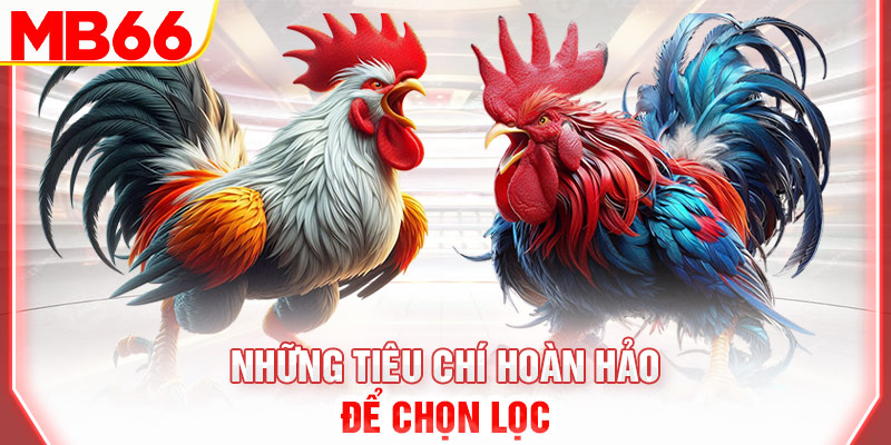 nhung-tieu-chi-hoan-hao-de-chon-loc