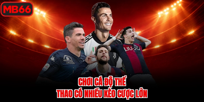 Chơi cá độ thể thao có nhiều kèo cược lớn
